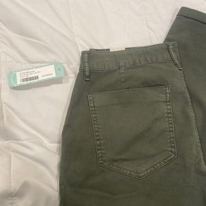 Cosmic blue love Moriah Straight leg pant olive green